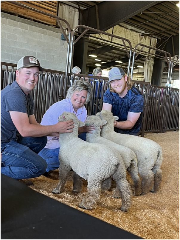 All Other Breeds White  Young Flock, Iron Water Ranch. Photo: Amy Wolf.